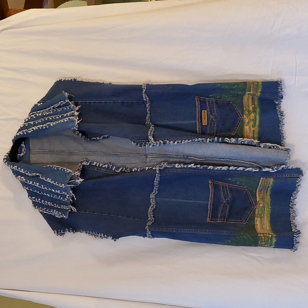 Vintage sleeveless esGitano Jean jacket sz L. Hand painted southwestern design